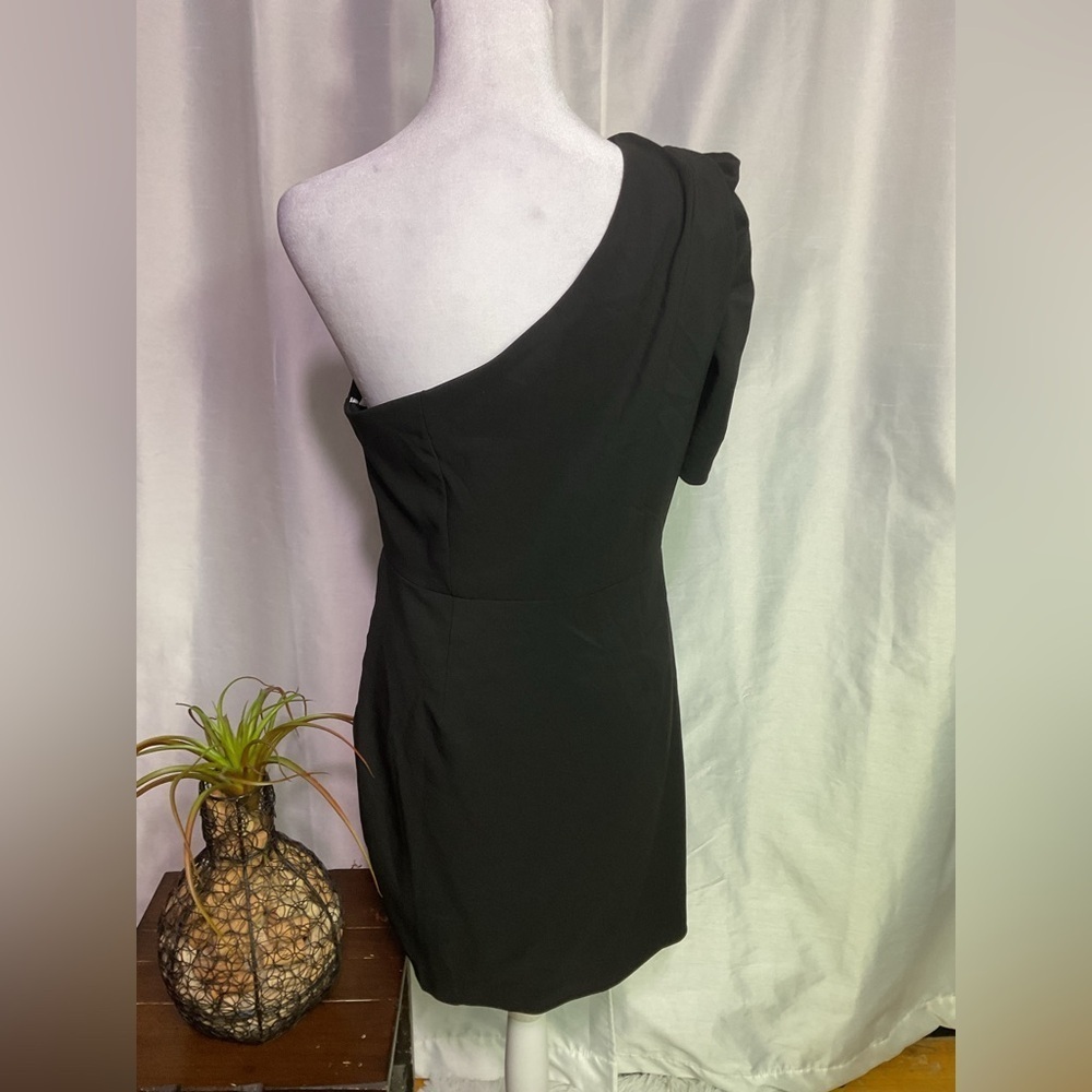 Lulu’s Dress - Picture 7 of 12